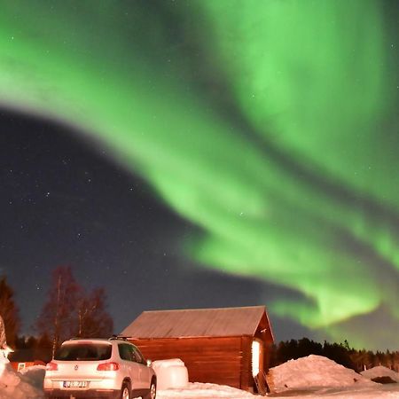 Newly Built Apartment Next Door To The Sheep Norrfjarden Екстер'єр фото